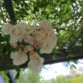IMG_1361628