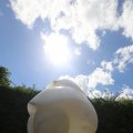IMG_1361635
