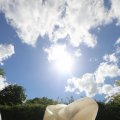 IMG_1361639