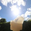 IMG_1361640