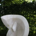 IMG_1361647
