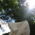 IMG_1361652