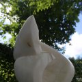 IMG_1361657
