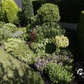 IMG_1361692