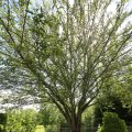 IMG_1361697