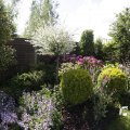 IMG_1361701