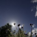 IMG_1361704