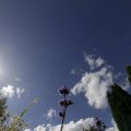 IMG_1361706