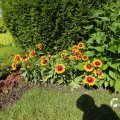 IMG_1361716