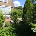 IMG_1361725