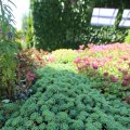 IMG_1361729