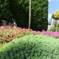 IMG_1361733