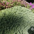 IMG_1361735
