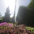 IMG_1361741