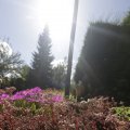 IMG_1361743
