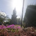 IMG_1361744