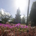 IMG_1361745