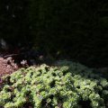 IMG_1361749