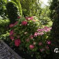 IMG_1361765