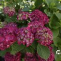 IMG_1361769