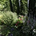 IMG_1361772