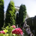 IMG_1361774
