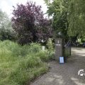 IMG_1360815
