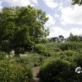 IMG_1360818