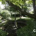 IMG_1360822