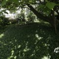 IMG_1360824