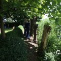 IMG_1360828