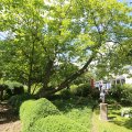 IMG_1360836