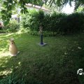 IMG_1360838