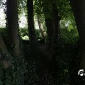 IMG_1360839