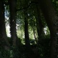 IMG_1360841