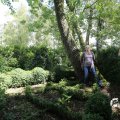 IMG_1360842