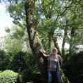 IMG_1360845
