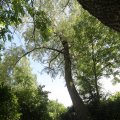 IMG_1360849