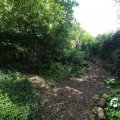 IMG_1360854