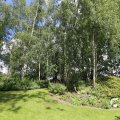 IMG_1360861