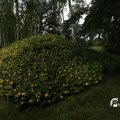IMG_1360876