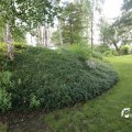 IMG_1360877
