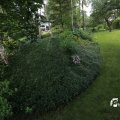 IMG_1360878