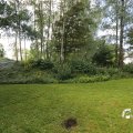 IMG_1360880