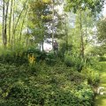 IMG_1360888