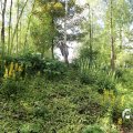 IMG_1360889