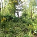 IMG_1360890