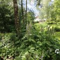IMG_1360900