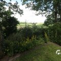 IMG_1360904