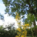 IMG_1360905